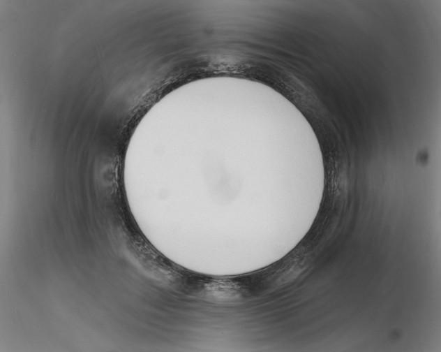 X0000116130603200912211717