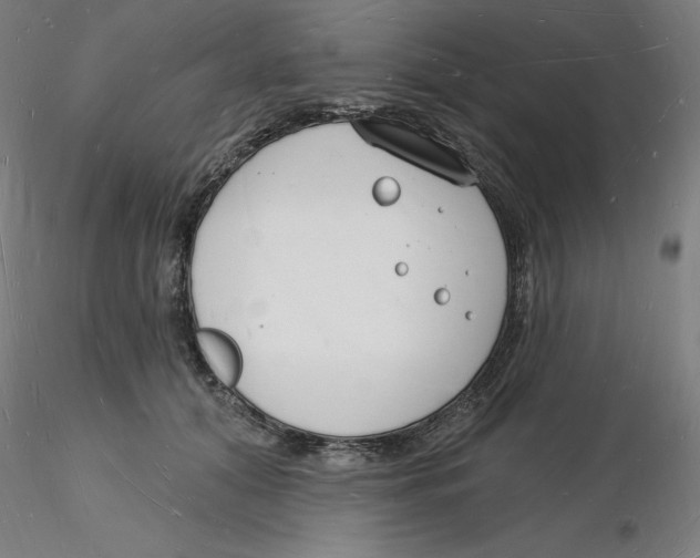 X0000116130608200912211716