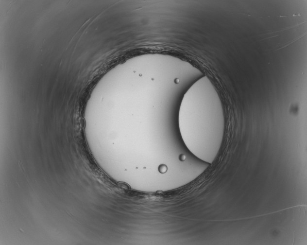 X0000116130609200912211716