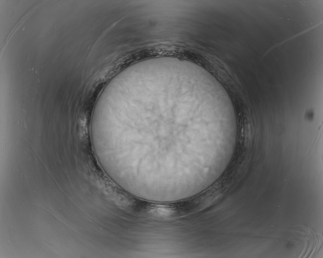 X0000116130610200912211716