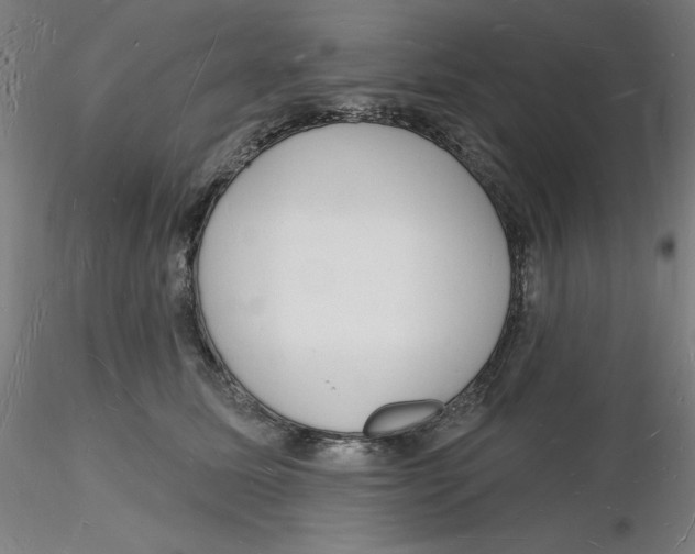 X0000116130611200912211716