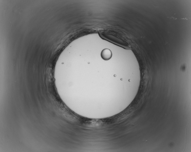 X0000116130612200912211716