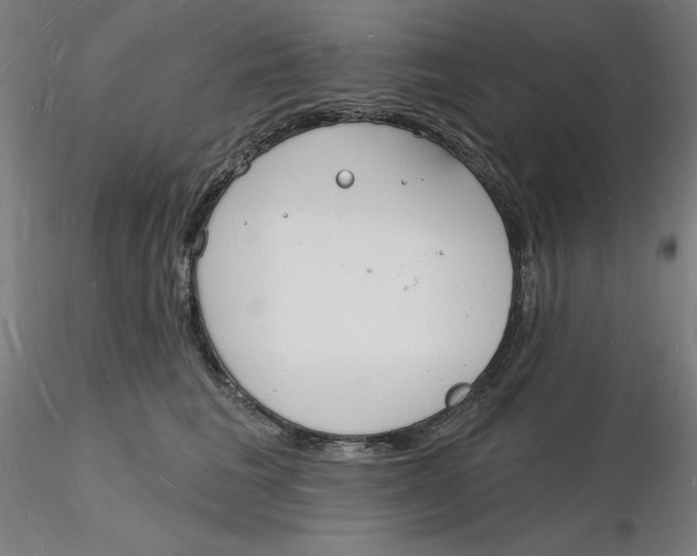 X0000116130613200912211716