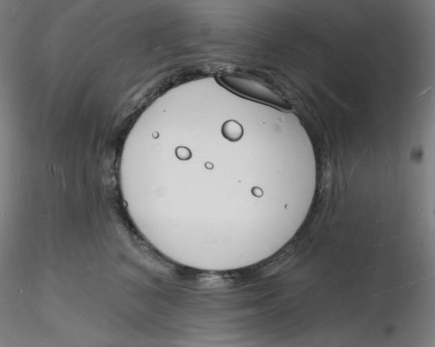 X0000116130616200912211716