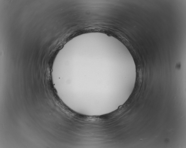 X0000116130617200912211716