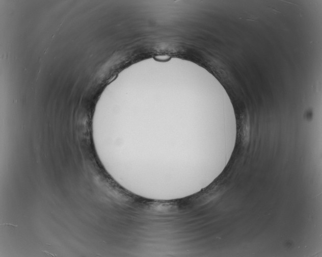 X0000116130619200912211716