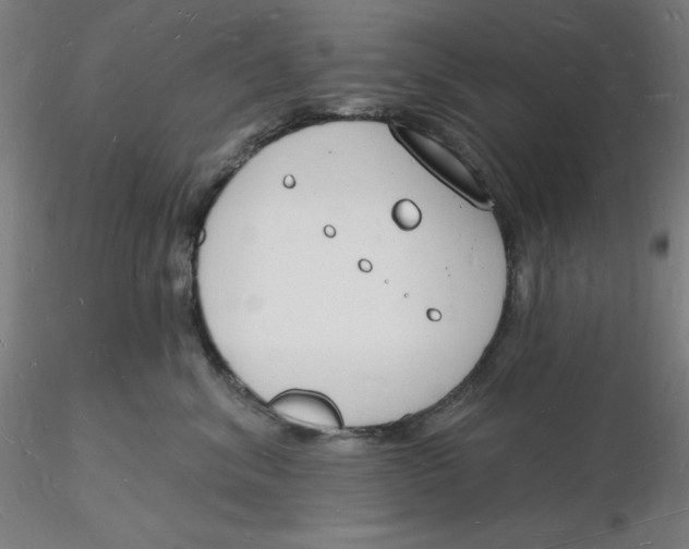 X0000116130620200912211716