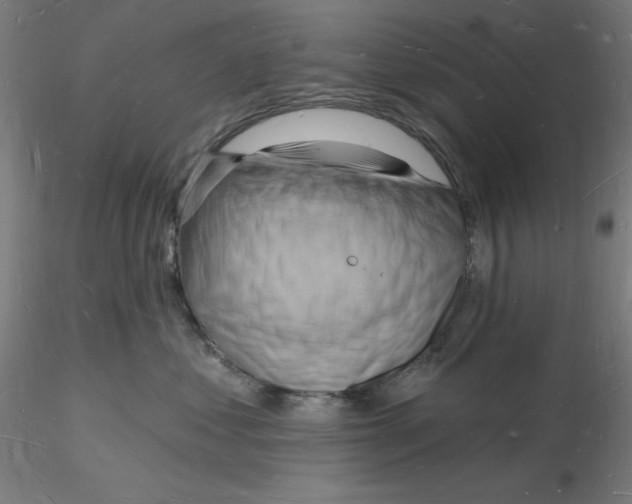 X0000116130621200912211716