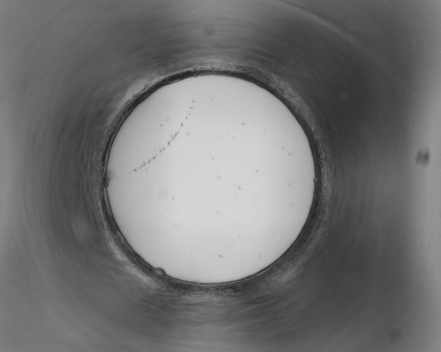 X0000116130625200912211716