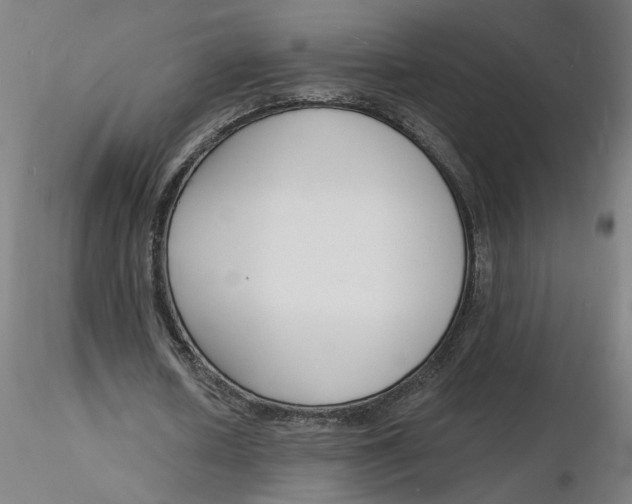 X0000116130626200912211716
