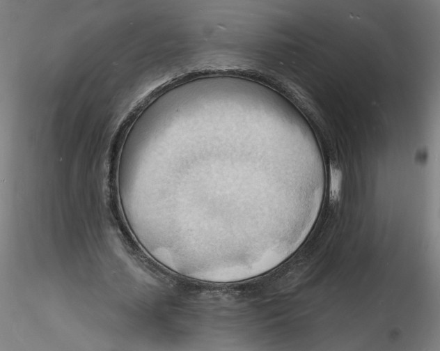 X0000116130627200912211716