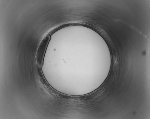 X0000116130628200912211716