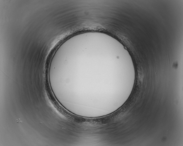 X0000116130630200912211716