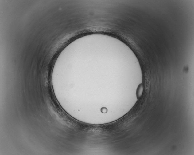 X0000116130631200912211716