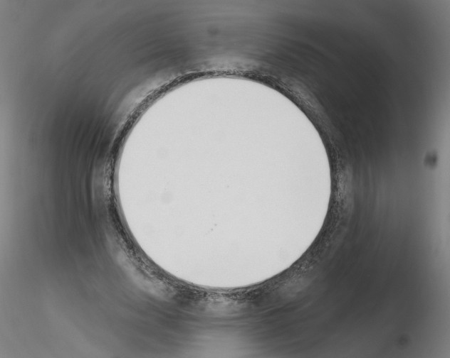 X0000116130632200912211716