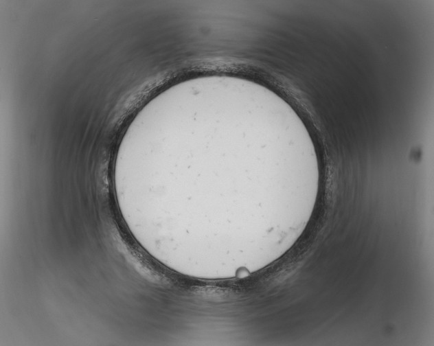 X0000116130633200912211716