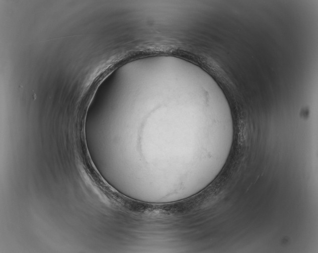 X0000116130634200912211716