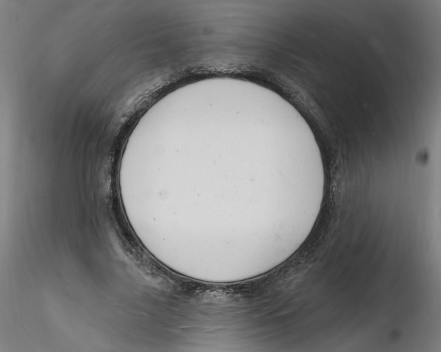 X0000116130635200912211716