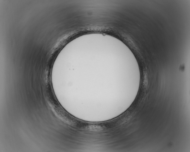 X0000116130636200912211716