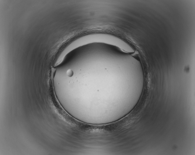 X0000116130637200912211716