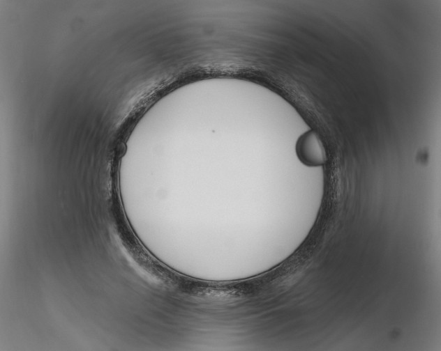 X0000116130638200912211716