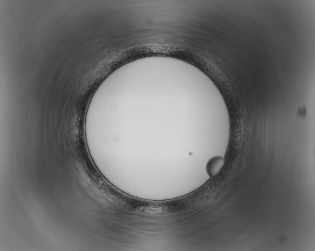 X0000116130639200912211716