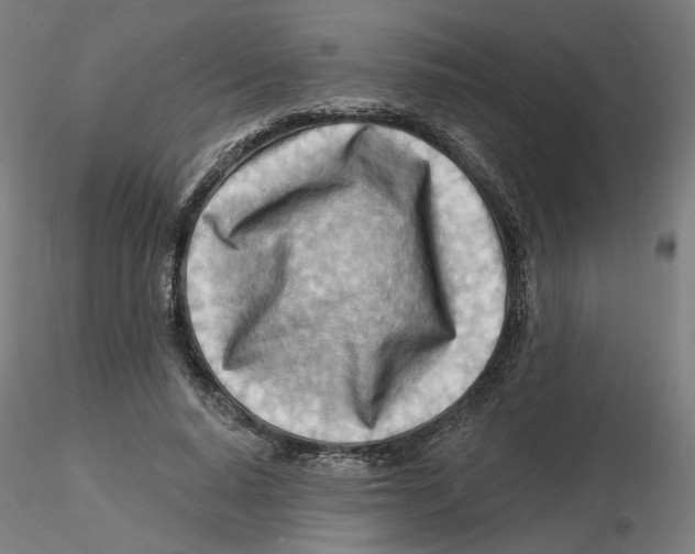 X0000116130640200912211716