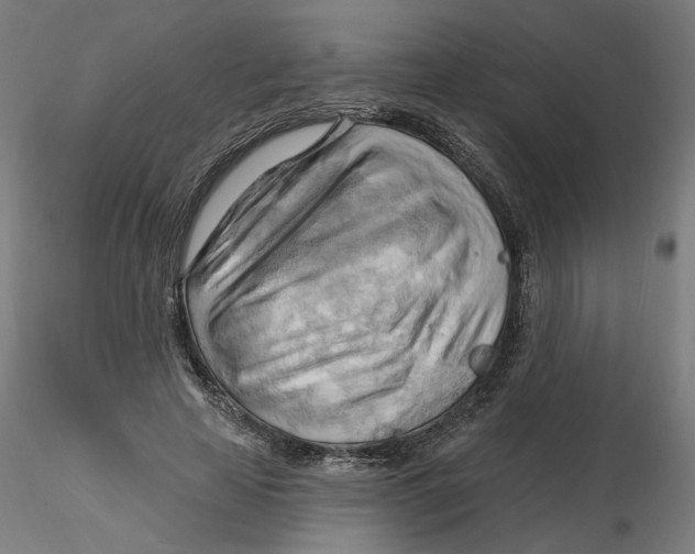 X0000116130641200912211716
