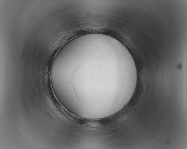 X0000116130642200912211716