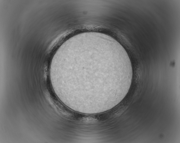 X0000116130644200912211716