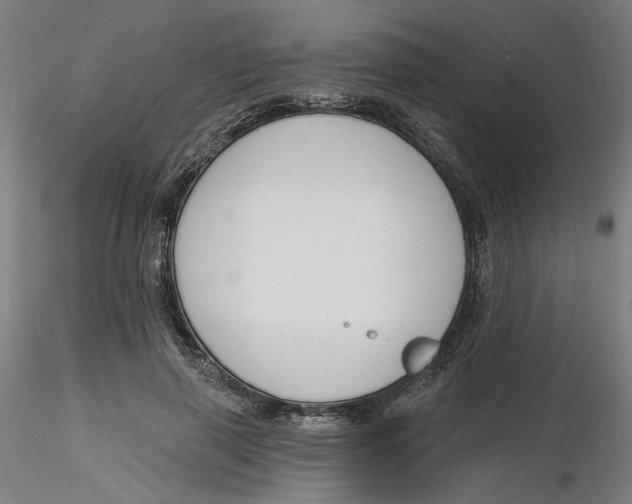 X0000116130645200912211716