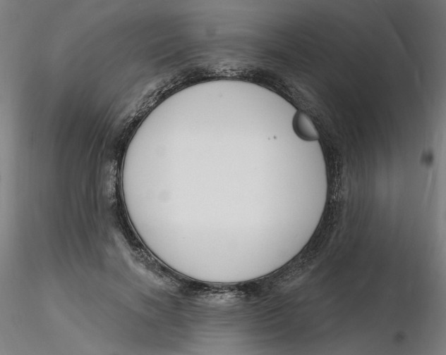 X0000116130646200912211716