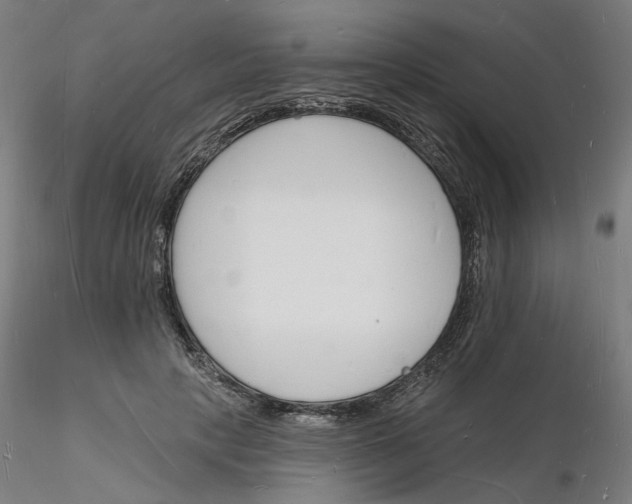 X0000116130649200912211716