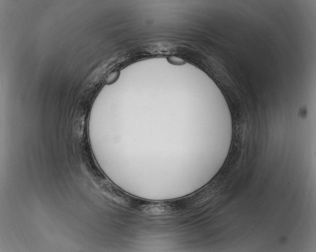 X0000116130652200912211716