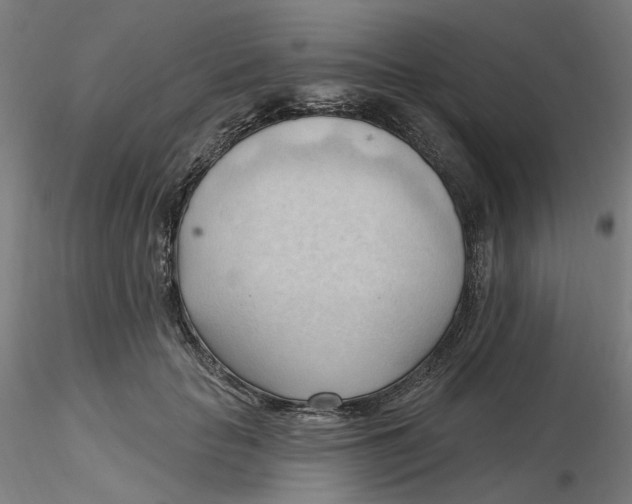 X0000116130653200912211716