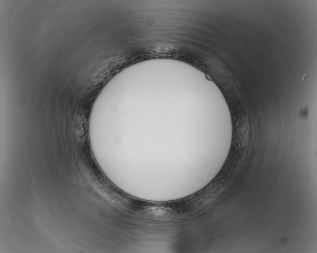 X0000116130654200912211716
