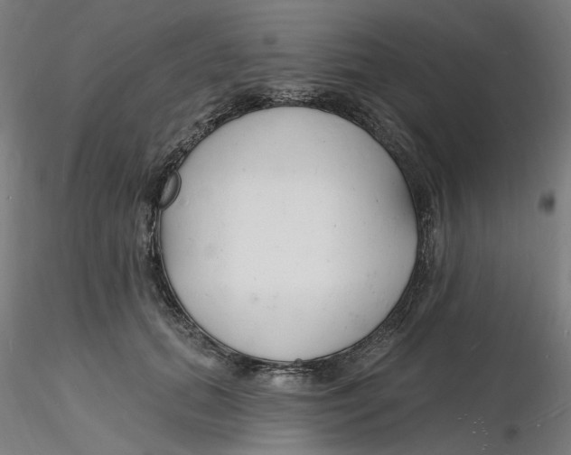 X0000116130655200912211716
