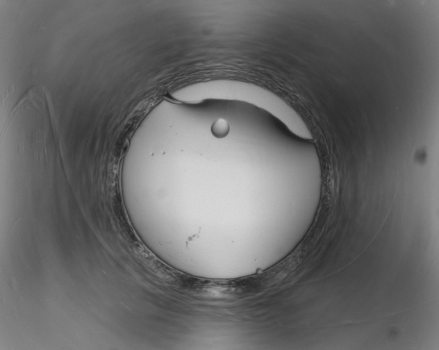 X0000116130657200912211716