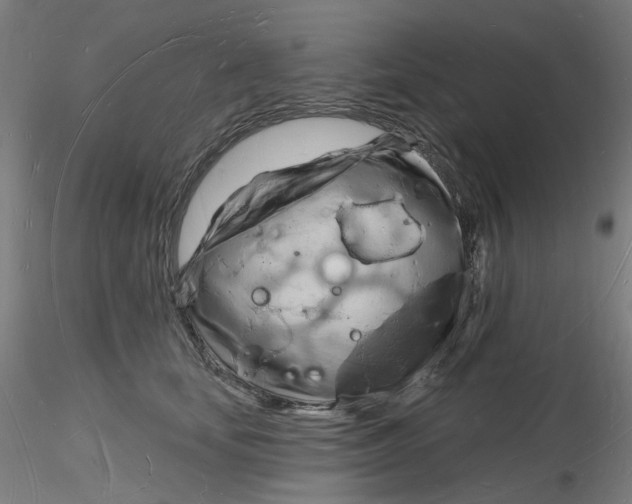 X0000116130659200912211716