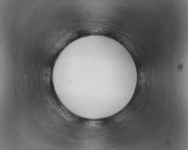 X0000116130664200912211716