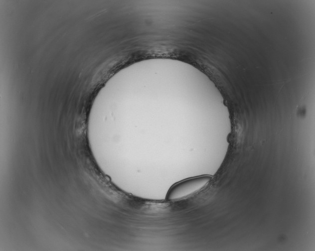 X0000116130665200912211716