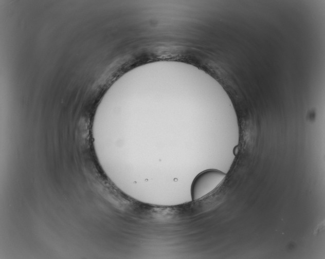 X0000116130667200912211716