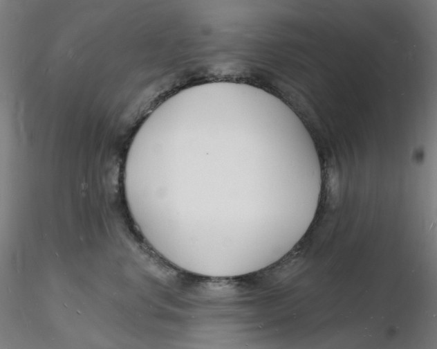 X0000116130668200912211716
