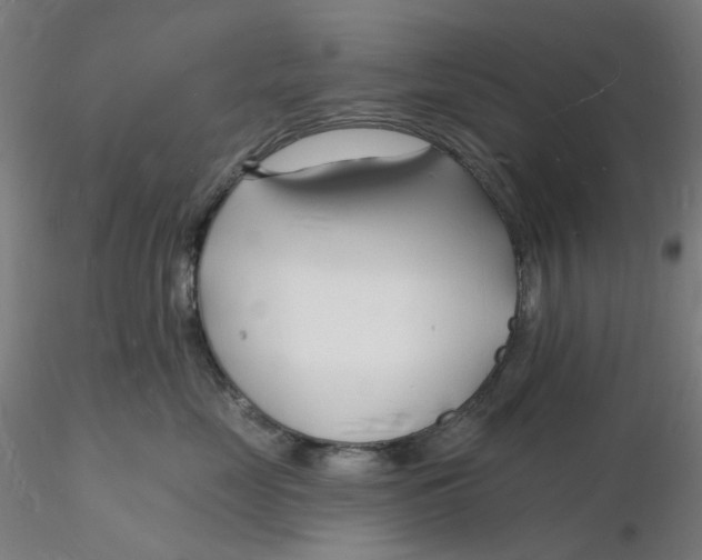 X0000116130669200912211716