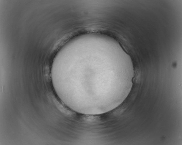 X0000116130670200912211716