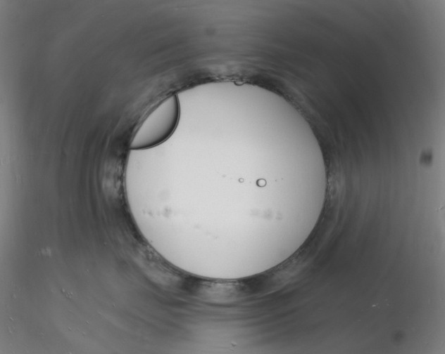 X0000116130671200912211716