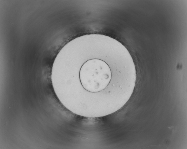 X0000116130672200912211716