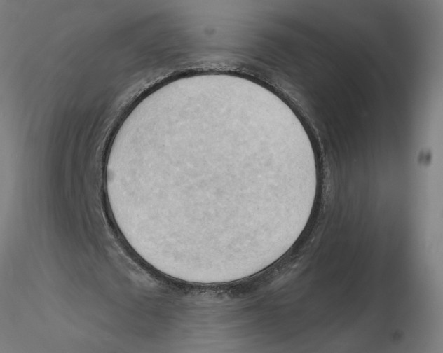 X0000116130673200912211716