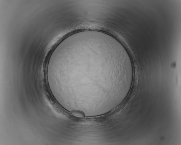 X0000116130674200912211716