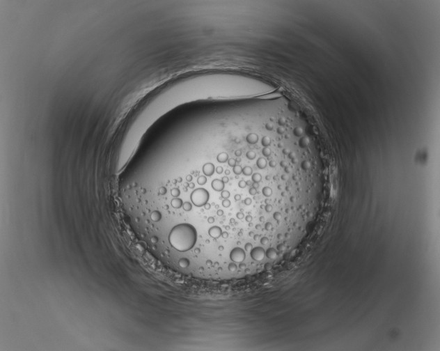 X0000116130675200912211716
